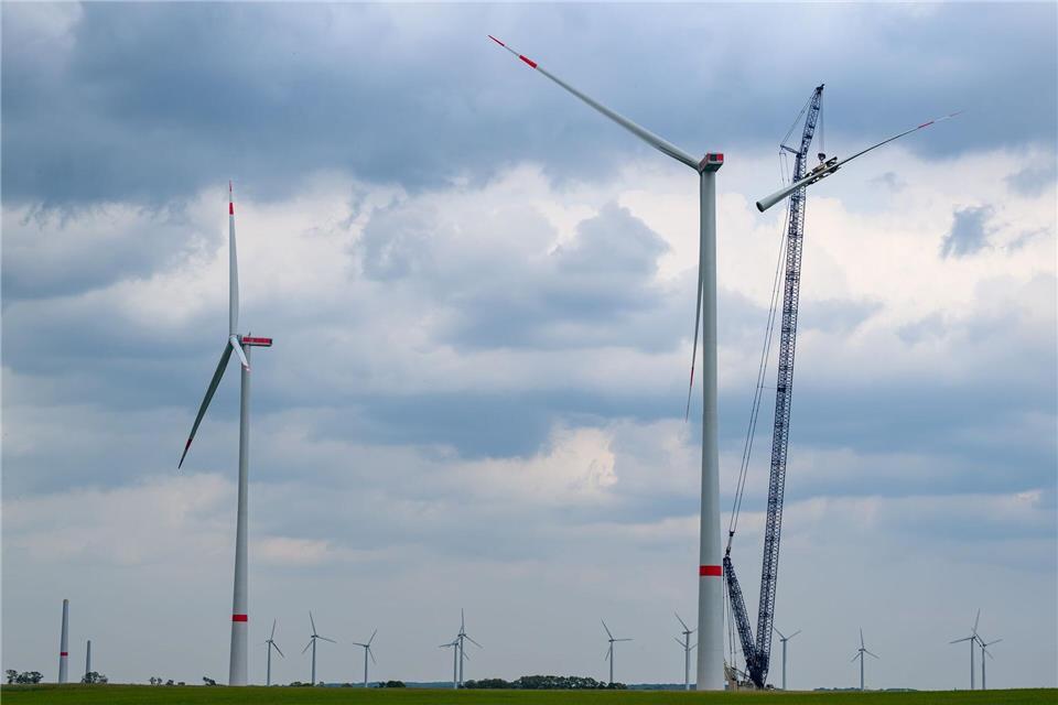 Der Ausbau der Windenergie drohe von der Bundesregierung ausgebremst zu werden, warnt die Branche. (Symbolbild)Patrick Pleul/dpa/ZB