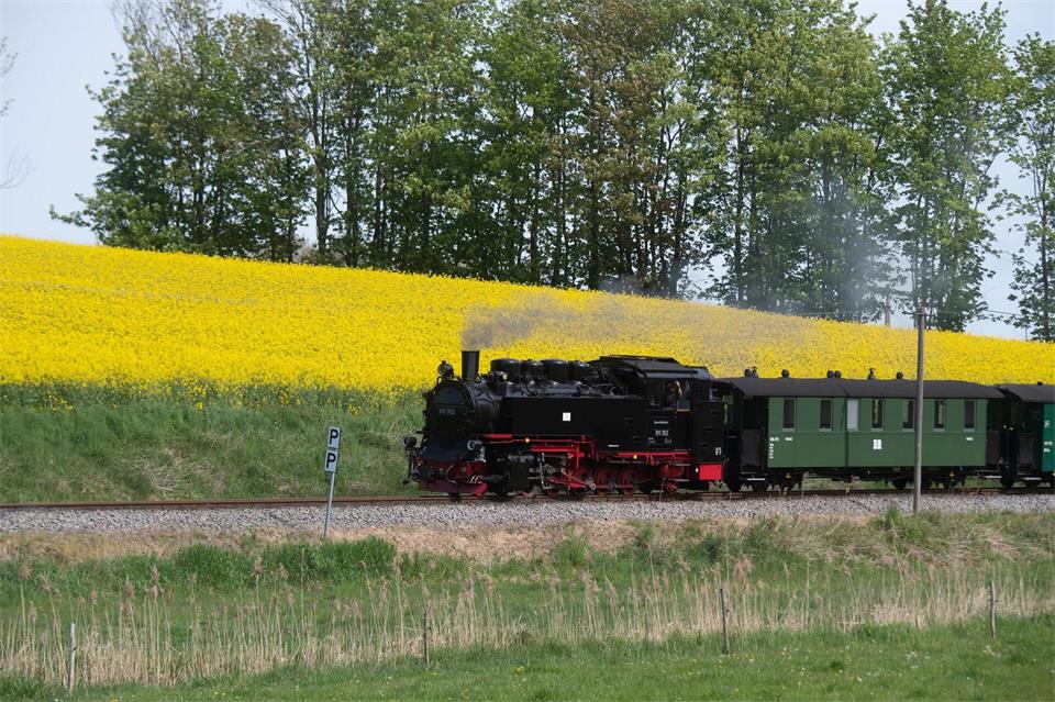 Der Autofahrer hatte die Kleinbahn ganz offensichtlich übersehen. (Archivbild)Stefan Sauer/dpa