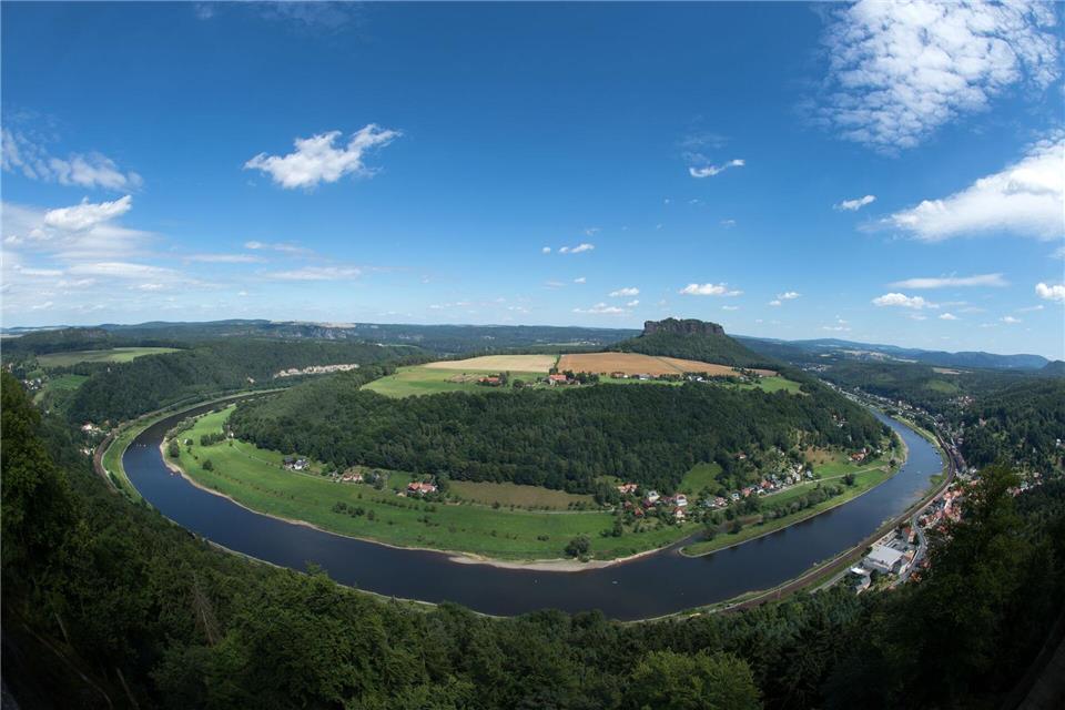Der BUND untersucht in einem Projekt trockene Lebensräume im sächsischen Elbtal (Archivbild). picture alliance / Arno Burgi/dpa-Zentralbild/dpa