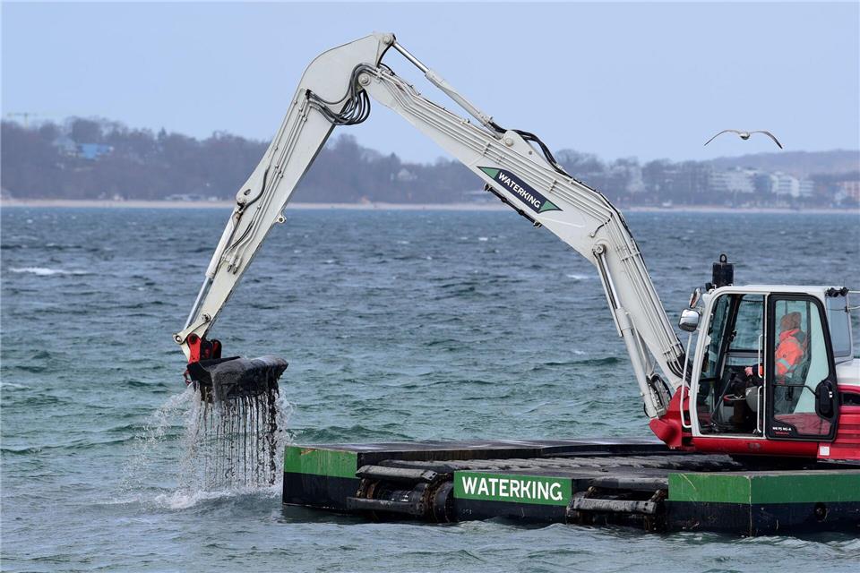 Der Bagger gräbt eine Rinne für den gestrandeten Wal.Daniel Bockwoldt/dpa