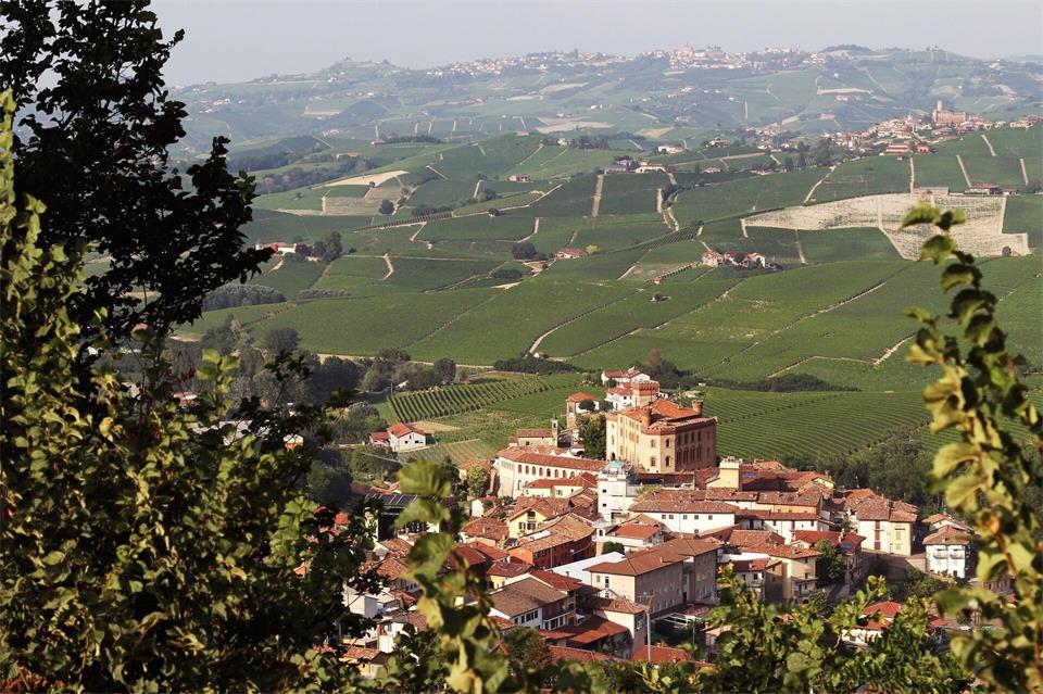 Der Barolo aus der Umgebung der gleichnamigen Gemeinde gehört zu den berühmtesten Weinen der Welt. (Archivbild)Bernhard Krieger/dpa-tmn