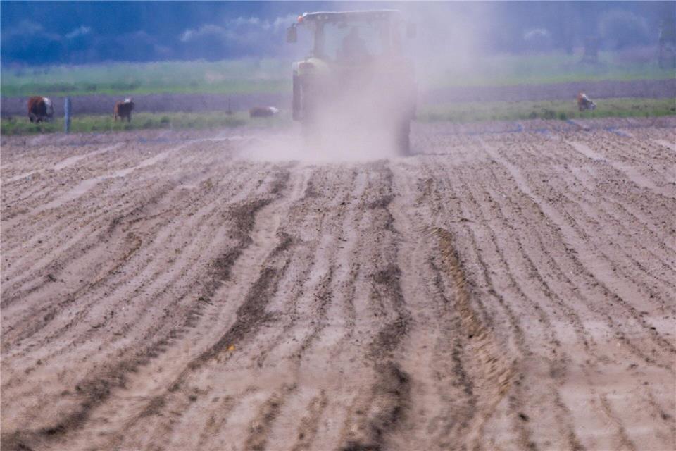 Der Bauern- und Winzerverband Rheinland-Nassau sieht eine Wettbewerbsverzerrung durch das Entgelt. (Archivbild)Jens Büttner/dpa