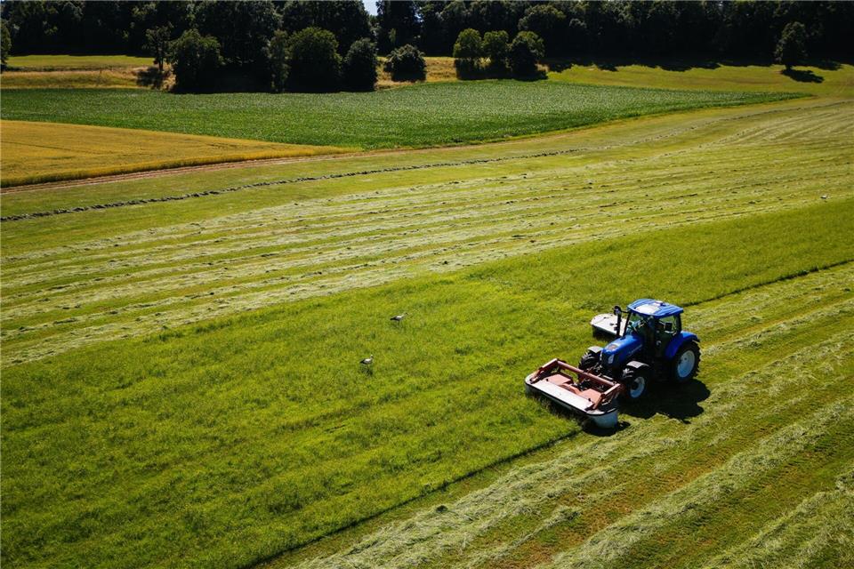 Der Bauerntag in Freiburg beginnt in einer kritischen Geschäftslage für viele Höfe. (Archivbild)Philipp von Ditfurth/dpa
