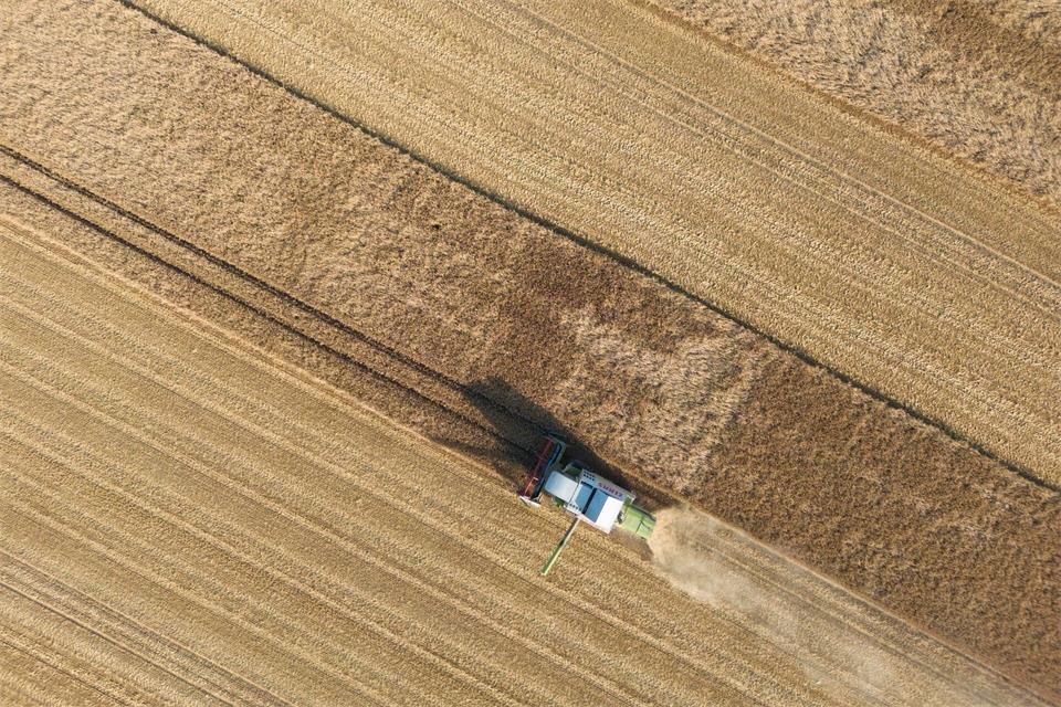 Der Bauernverband begrüßt die geplanten Erleichterungen beim freiwilligen Grundstückstausch. (Symbolbild)Boris Roessler/dpa