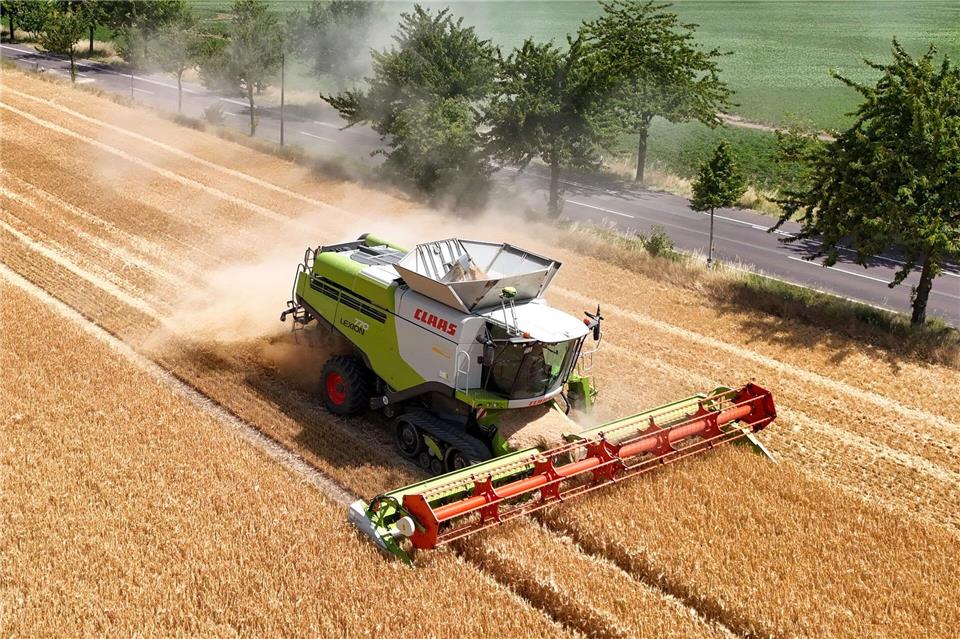 Der Bauernverband sieht bei mehreren Kulturen bereits Einbußen. (Symbolbild) Peter Gercke/dpa
