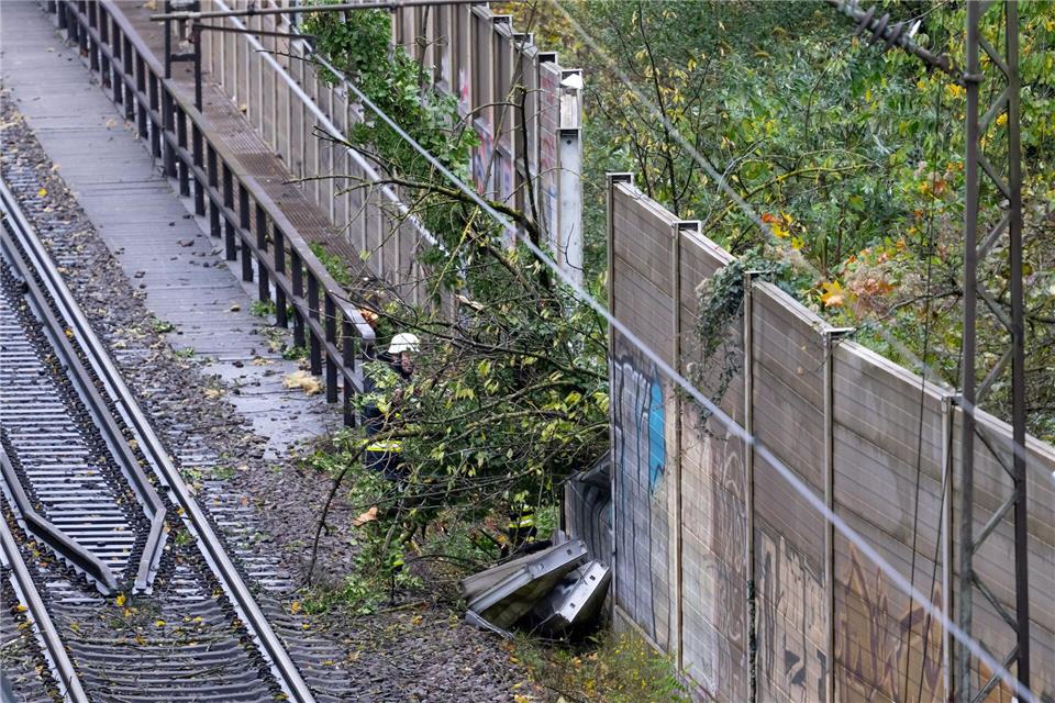 Regionalzug fährt in München gegen umgestürzten Baum  Der Baum hatte eine Lärmschutzwand durchbrochen und war auf den fahrenden Zug gefallen. Sven Hoppe/dpa