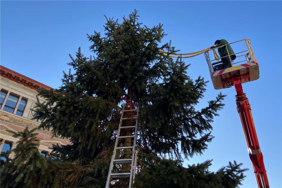 Der Baum wurde am Samstagmorgen abtransportiert.Stefan Kruse/-/dpa