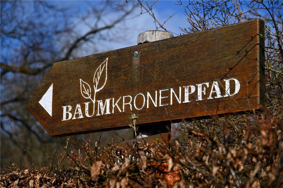 Der Baumkronenpfad gehört zu den Besuchermagneten in Thüringen.Martin Schutt/dpa