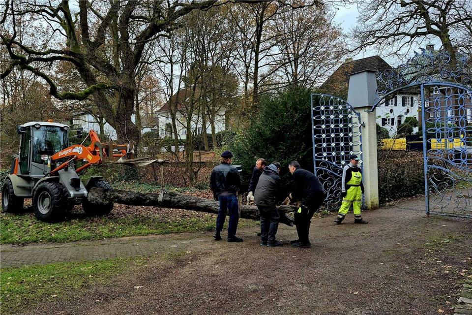 Der Baumstamm wird künftig vor einem Gebäude des Focke-Museums ausgestellt.Dieter Bischop/Landesarchäologie Bremen/dpa