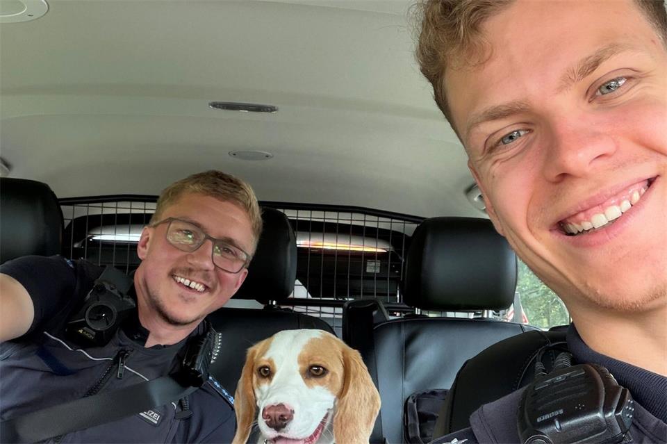 Der Beagle wurde im Streifenwagen zum Tierheim gebracht.-/Polizeipräsidium Offenburg/dpa