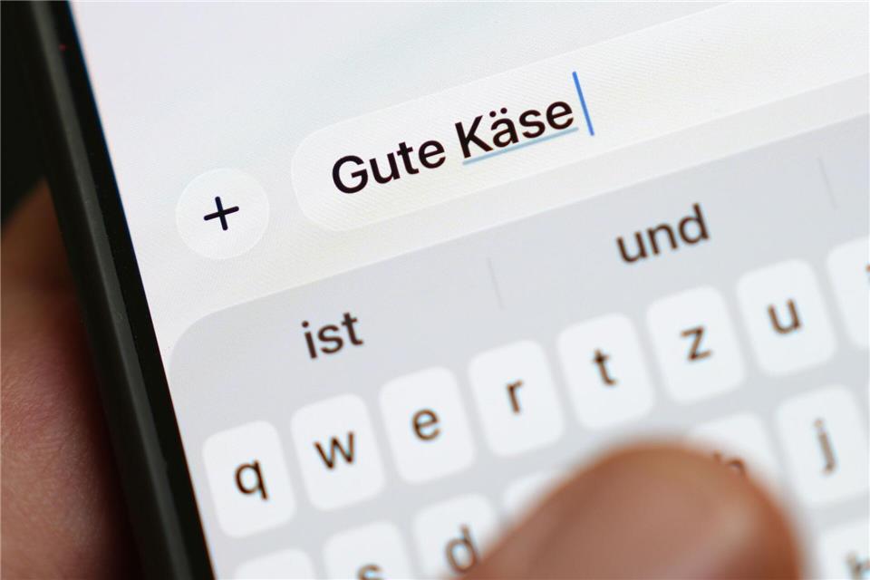 Der Begriff „Gute Käse“ gehört bei der Wahl zum Jugendwort 2026 zu den Top 10. (Symbolbild)Marcus Brandt/dpa