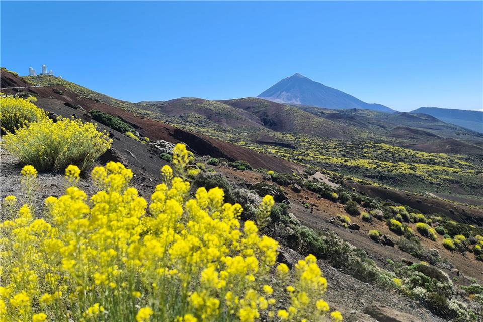 Der Berg Teide auf Teneriffa ist nur eines der Highlights der Kanarischen Inseln.Isabelle Modler/dpa-tmn