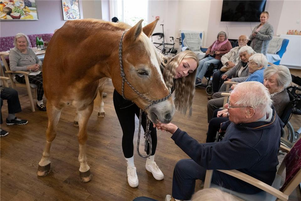 Kommt ein Pferd in den Speisesaal - Stute besucht Pflegeheim Der Besuch der Stute ist für die alten Menschen eine willkommene Abwechslung zum Alltag im Altersheim.Boris Roessler/dpa