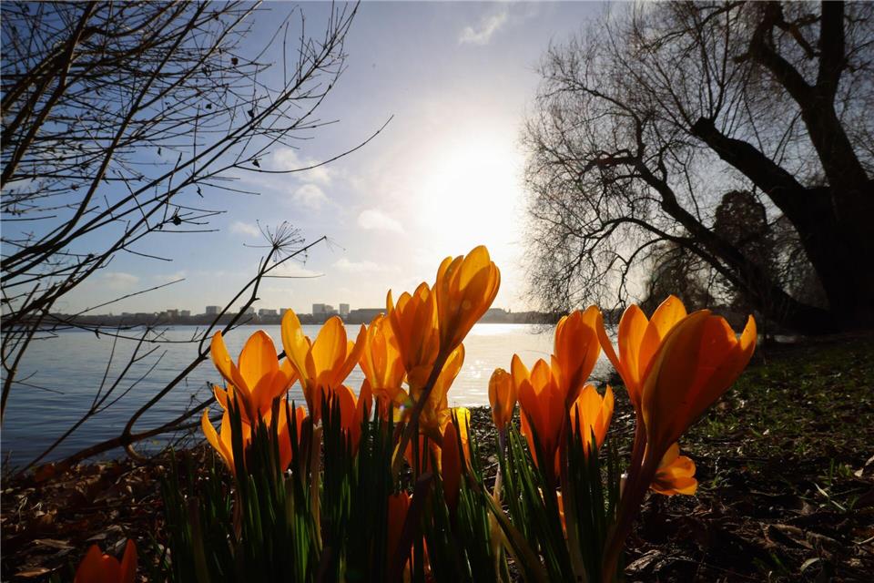 Der Biotopverbund in Hamburg soll gestärkt werden. (Symbolbild)Christian Charisius/dpa
