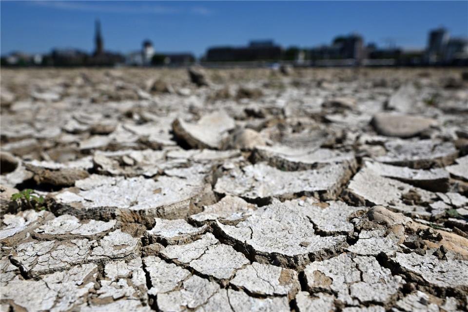 Der Boden am Rheinufer ist durch die langanhaltende Trockenheit rissig.Federico Gambarini/dpa
