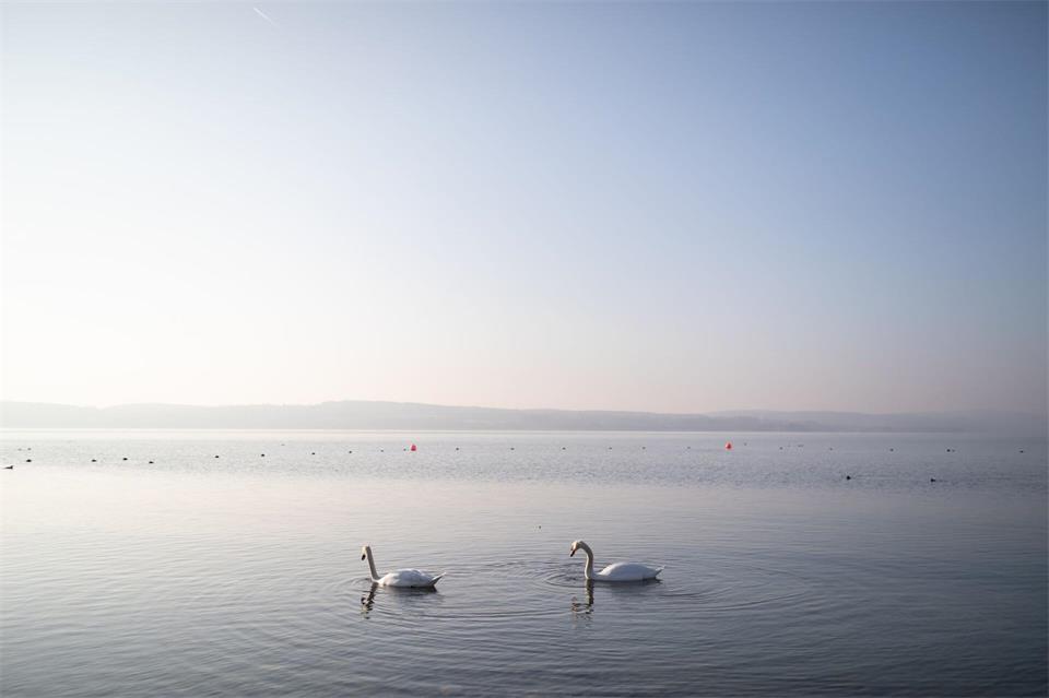 Der Bodensee ist für die Jahreszeit ungewöhnlich warm. (Symbolbild) Philipp von Ditfurth/dpa