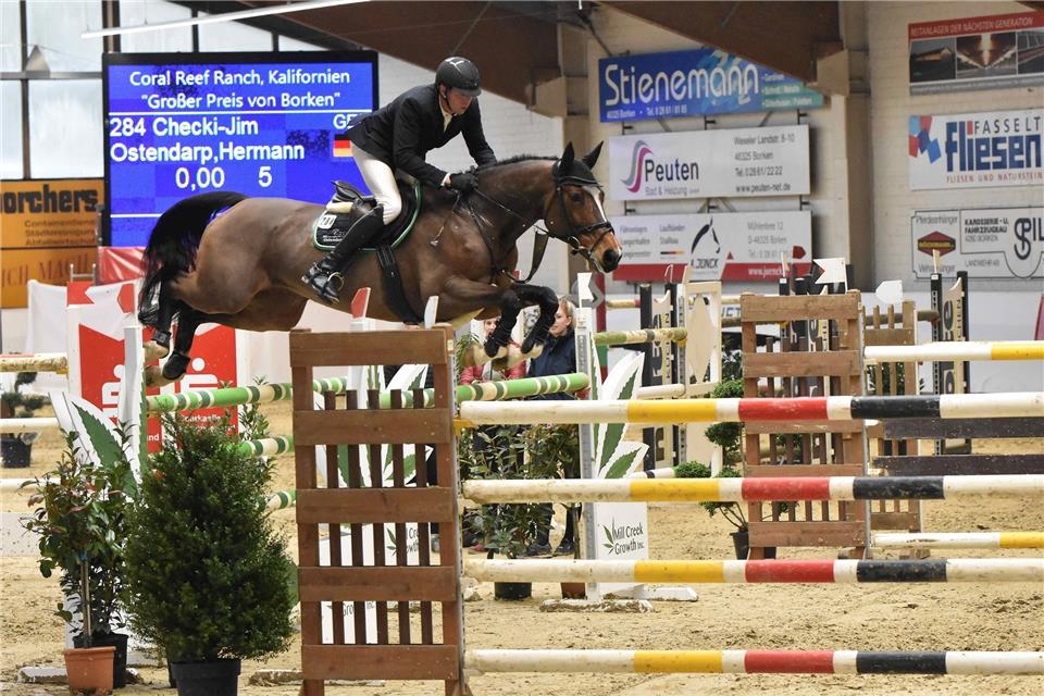 Der Borkener Lokalmatador Hermann Ostendarp sattelt am Samstag und Sonntag beim Springpferde-Meeting sowie eine Woche später beim großen Hallen-Springturnier seine Pferde.