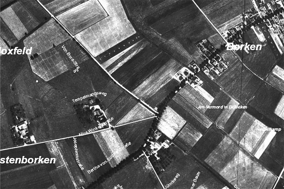 Wie der Lebensraum für Tiere verschwunden ist Der Borkener Westen im Jahr 1954.