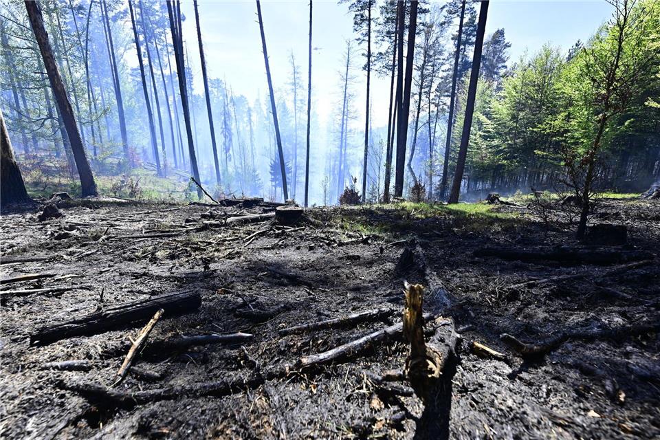 Der Brand im Nationalpark Böhmische Schweiz ist nicht unter Kontrolle.Hájek Ondøej/CTK/dpa