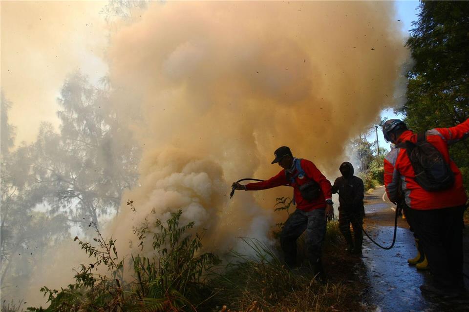 Der Brand war am Montag ausgebrochen.JNA via ZUMA Press Wire/dpa