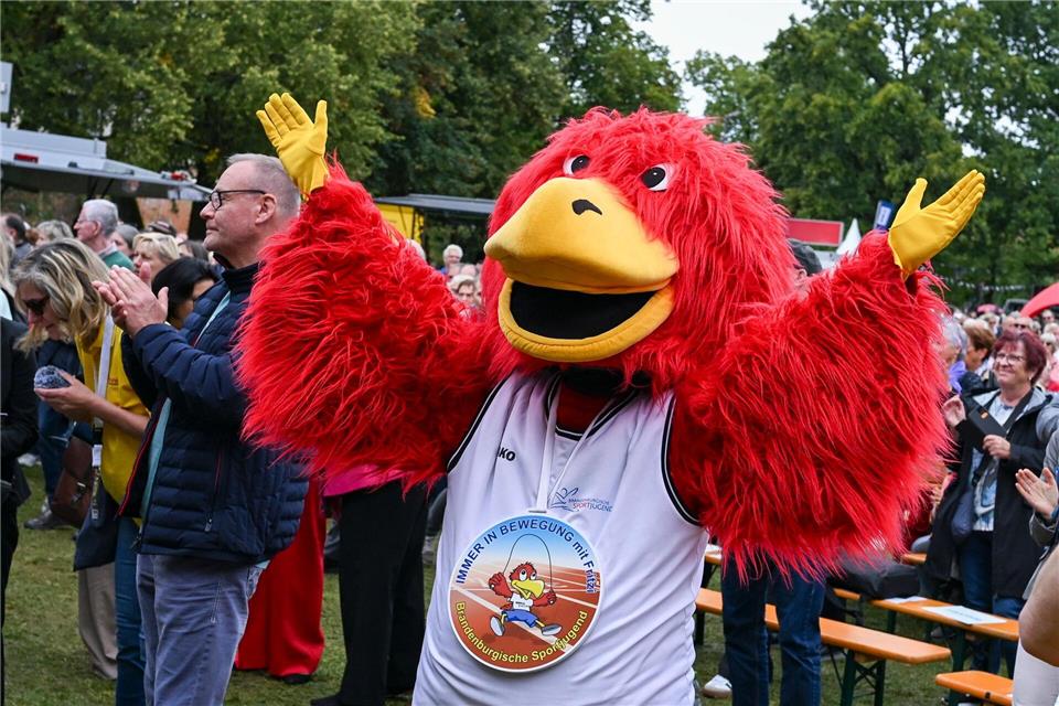 Rund 80.000 Besucher beim Brandenburg-Tag Der Brandenburg-Tag ist in diesem Jahr in der Rolandstadt Perleberg zu Gast, mit dabei: das Maskottchen Brandenburger Adler.Jens Kalaene/dpa