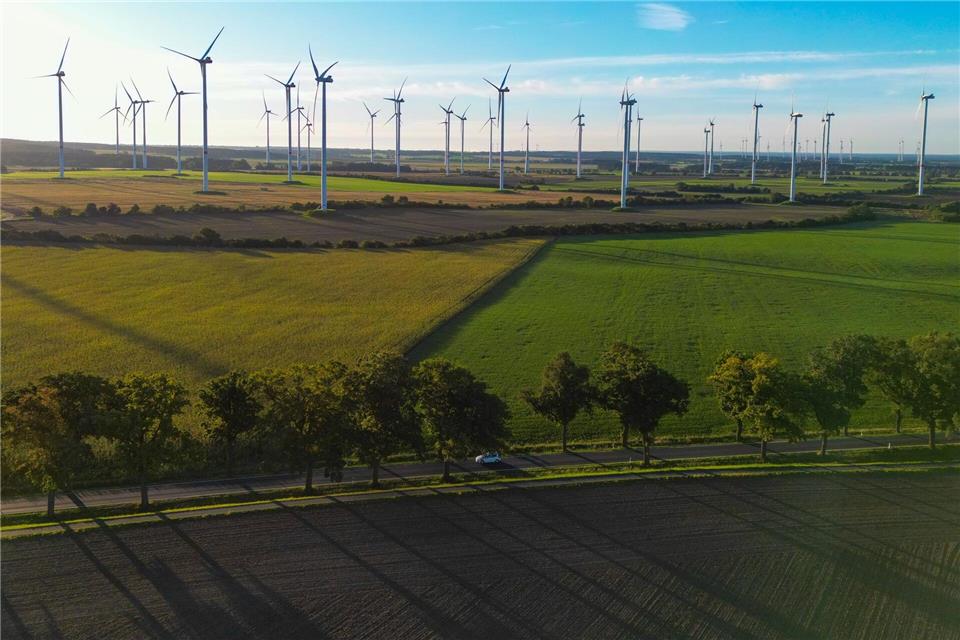 Der Brandenburger Landtag will einen „Wildwuchs“ beim Ausbau der Windkraftanlagen verhindern (Archivbild).Patrick Pleul/dpa/ZB