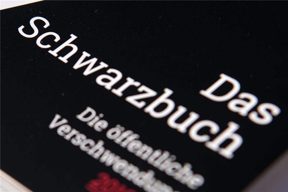 Der Bund der Steuerzahler kritisiert auch Projekte in Berlin. (Symbolbild)Ralf Hirschberger/dpa-Zentralbild/dpa