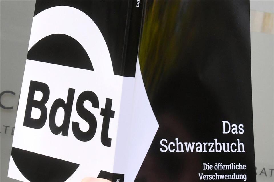 Der Bund der Steuerzahler sammelt kuriose Verwendungen von Steuermitteln. (Archivbild)Holger Hollemann/dpa