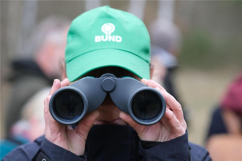 Der Bund für Umwelt und Naturschutz Deutschland in Sachsen wünscht sich weniger Bürokratie für den Schutz der Umwelt. (Symbolbild)Sebastian Willnow/dpa
