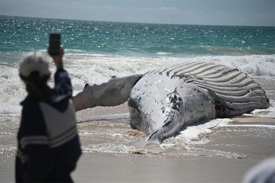 Der City Beach in Perth bleibt vorläufig für Badegäste geschlossen.Aaron Bunch/AAP/dpa