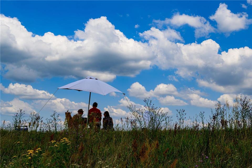 Der DWD erwartet am Wochenende sonniges Wetter für Berlin und Brandenburg. (Archivbild)Patrick Pleul/dpa
