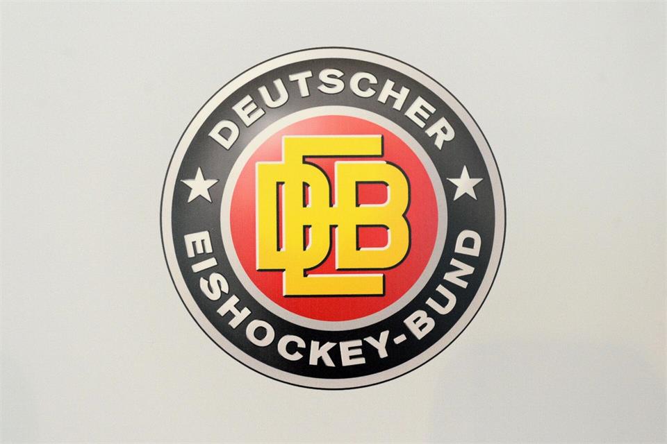Der Deutsche Eishockey-Bund stellt in München seinen neuen Bundestrainer vor. (Archivbild)Tobias Hase/dpa
