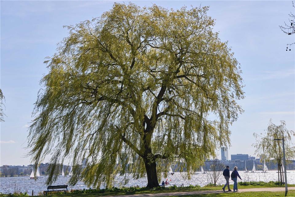 Der Deutsche Wetterdienst (DWD) rechnet für die kommende Woche im Norden mit überwiegend freundlichem Wetter. (Archivbild)Georg Wendt/dpa