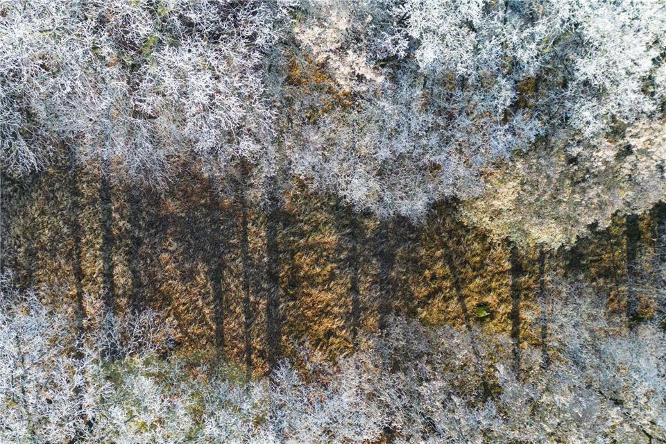 Der Deutsche Wetterdienst hat seine Wetterbilanz veröffentlicht. (Symbolbild)Patrick Pleul/dpa