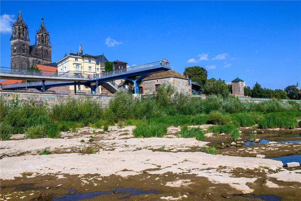 Der Domfelsen in Magdeburg ist wegen des niedrigen Wasserstandes der Elbe wieder sichtbar. (Archivbild)Klaus-Dietmar Gabbert/dpa