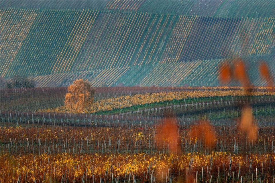 Der Donnerstag dürfte vielerorts sonnig werden. (Archivbild)Karl-Josef Hildenbrand/dpa