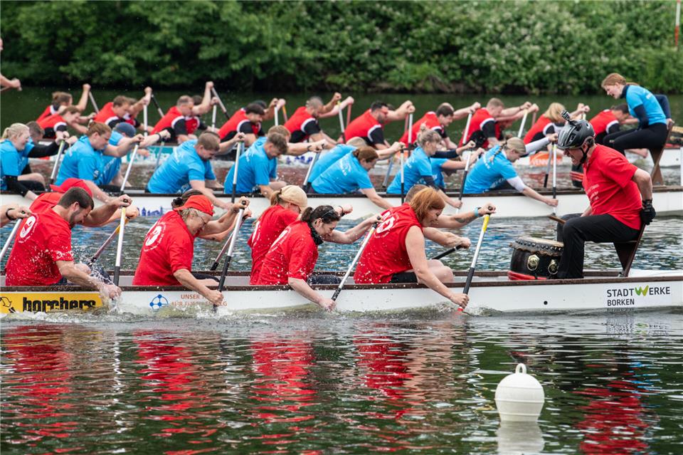 Der Dragonboat-Cup (hier ein Foto aus 2024) steigt in diesem Jahr zum 19. Mal.