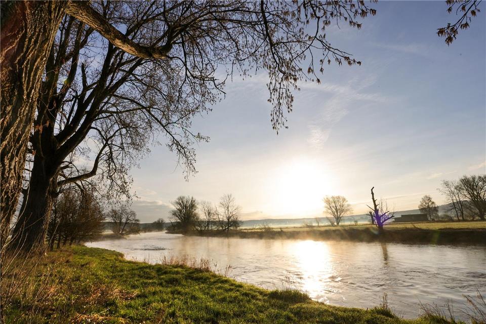 Der Dresdner Extremschwimmer Joseph Heß will die Donau von Ulm bis zur Mündung durchschwimmen. (Symbolbild)Thomas Warnack/dpa