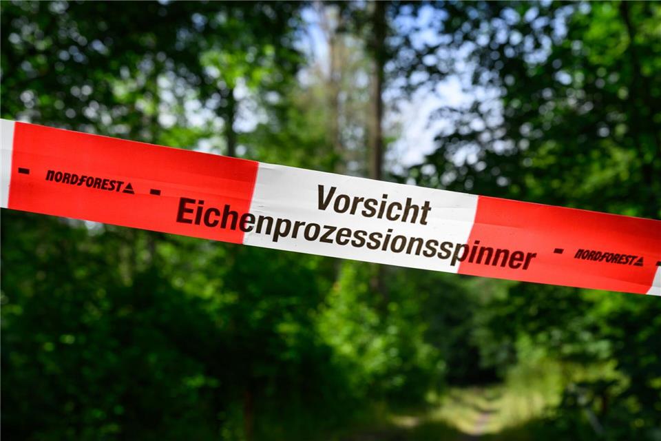 Der Eichenprozessionsspinner trifft die Urlaubssaison im Spreewald. Wasserwege wurden gesperrt. (Symbolbild)Patrick Pleul/dpa