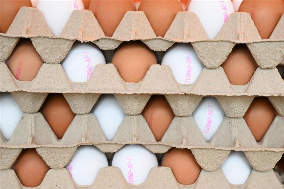 Der Eierbestand in Rheinland-Pfalz ist laut Harald Kopp von der Landwirtschaftskammer Rheinland-Pfalz vergleichsweise stabil. (Symbolbild)Arne Dedert/dpa