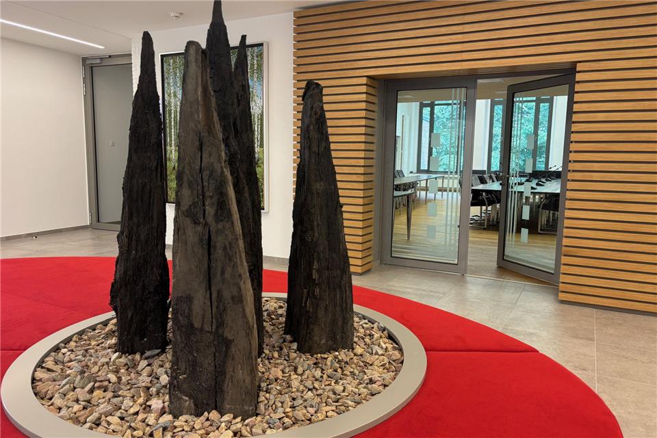 Der Eingang zum Ratssaal im Borkener Rathaus.