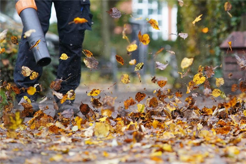 Hessens Städte setzen zunehmend auf leisere Akku-Laubbläser Der Einsatz von Laubbläsern erleichtert den Stadtreinigungen die Arbeit. Doch es gibt auch Kritik. (Symbolbild)Marcus Brandt/dpa/dpa-tmn