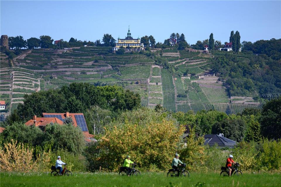 Der Elberadweg ist laut einer Online-Umfrage Deutschlands beliebtester Radfernweg. (Archivbild)Robert Michael/dpa