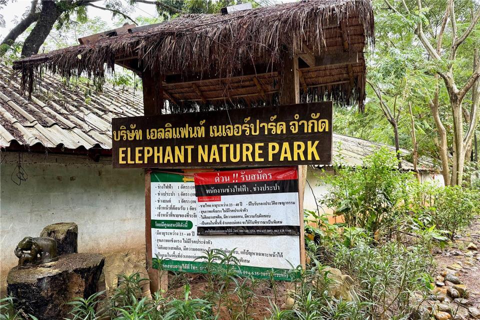 Der Elephant Nature Park liegt in der Nähe der bekannten Stadt Chiang Mai.Carola Frentzen/dpa