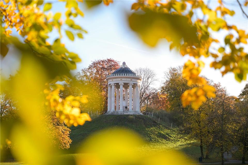 Bilder des Tages  Der Englische Garten im Morgenlicht.Malin Wunderlich/dpa