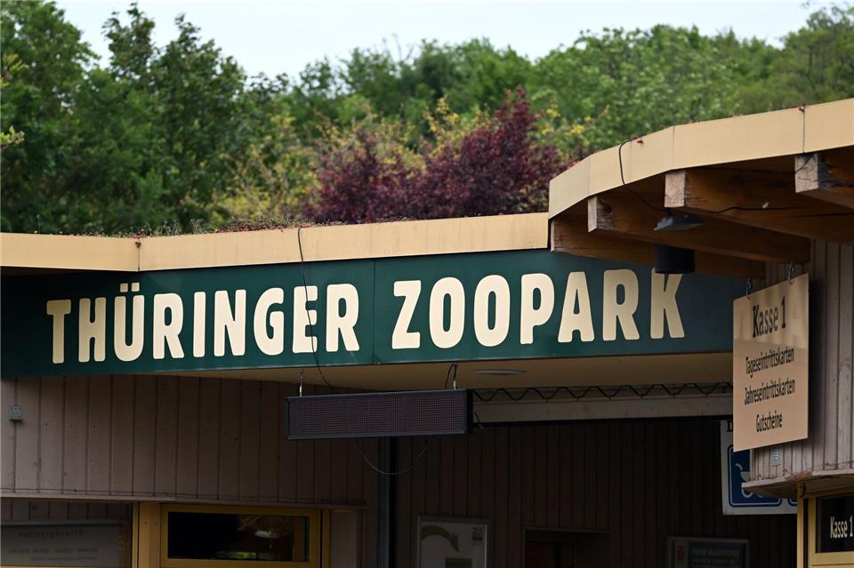 Der Erfurter Zoo wappnet sich gegen die Vogelgrippe. (Archivbild)Martin Schutt/dpa