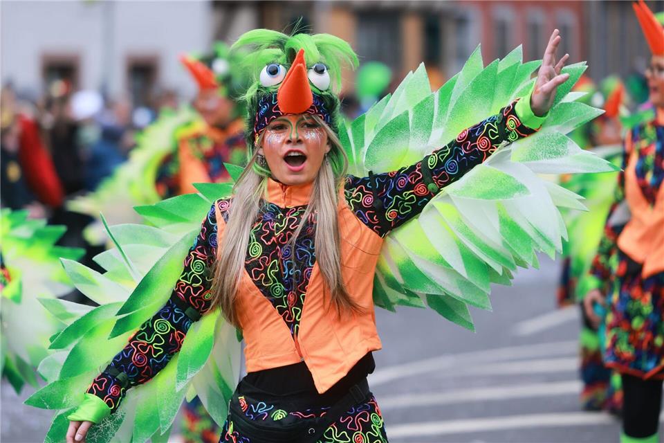 Der Faschingsumzug zieht am Samstag durch Wasungen in Südthüringen (Archivbild) Michael Reichel/dpa