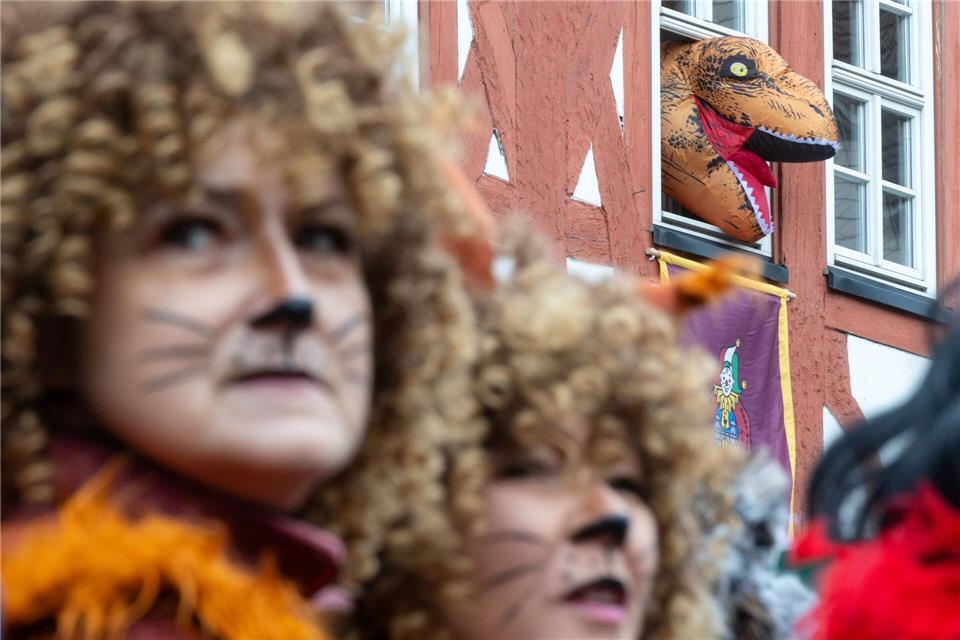 Der Faschingsumzug zieht am Samstag durch Wasungen in Südthüringen. (Archivbild) Michael Reichel/dpa