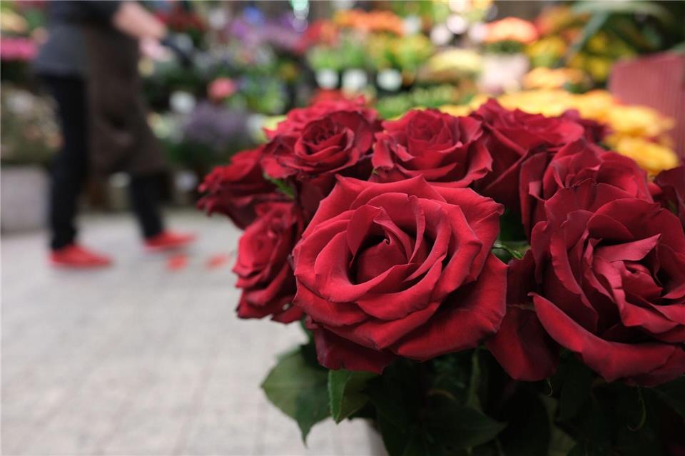 Statistik: Valentinstag kein beliebter Tag zum Heiraten Der Februar zählte in den vergangenen zehn Jahren zu den Monaten mit den wenigsten Hochzeiten. (Symbolbild)Sebastian Willnow/dpa