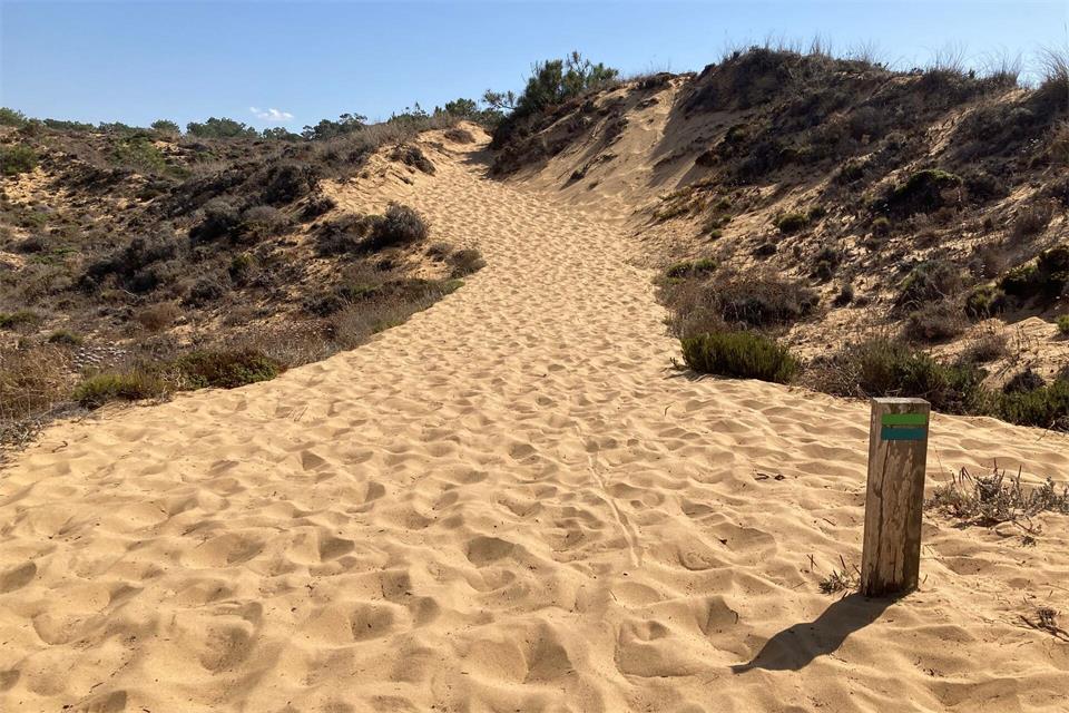 Der Fernwanderweg Fischerpfad an der Alentejo-Küste führt über weite Strecken durch Dünenlandschaften mit tiefem Sand.Friedemann Kohler/dpa